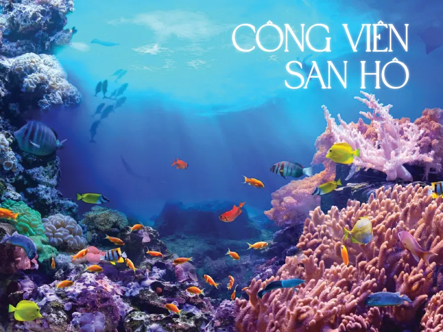 Công viên San Hô - Tiện ích tại La Tiên Villa